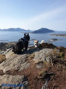 Leilighet nær flyplass og Ålesund sentrum - Image 3