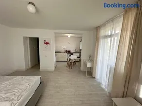 AMADEUS IASI - Image 3