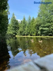Chalet -Havre au bord de l'eau - Image 1