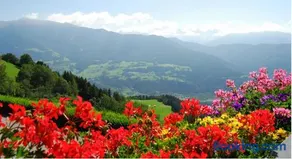 Stocknerhof - Image 3