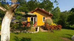 Domek w bieszczadzkim sadzie Solina - Image 1