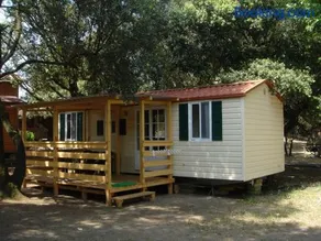 Camping Internazionale Di Castelfusano - Image 3