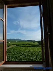 Domaine du Bouxhof - Image 2