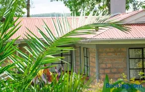 Zoe Homes 1br and 2br Cottage own compound -Kericho town near Green Square mall - Image 1