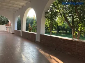 El cortijo de la abuela - Image 1