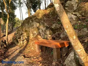 Chalé dos Coqueiros em Nova Petrópolis - Image 5