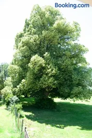 Le Perchoir - Image 2