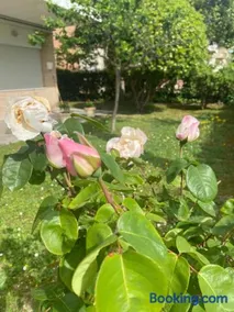 Giardino delle rose - Image 3