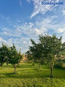 Langagergaard B&B - Thy - Image 2