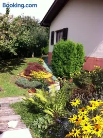 Le lotus zen - Image 3
