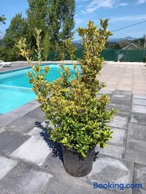 Casa de vacanta La Fane - Image 3