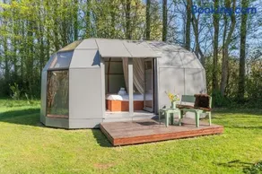 Cabin Buteo Buteo - Image 1