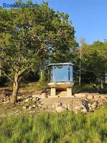 Forest Capsule - Image 3