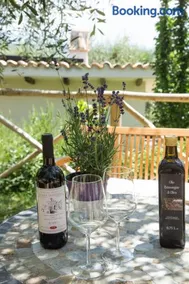 La Collina Degli Ulivi - Image 1