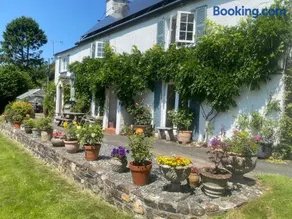 Brentor Self-catering - Image 3