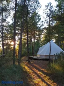 Forest Days - Image 1