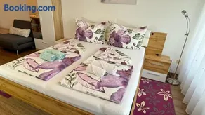 Komfortables Appartement/Garconniere in Graz für Urlaub und Geschäftsreisen - Image 3