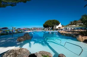 Mandarinos 35 - Image 1