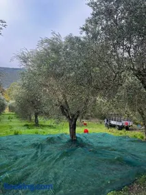 Villa Antonia Castellabate - Image 2