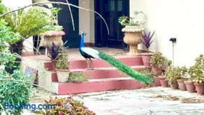 Mor Pur - Royal Golf Course Stay - Image 2