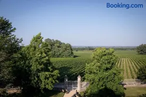 Château Malescasse - Image 4
