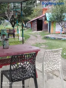 Apple Garden - Image 3