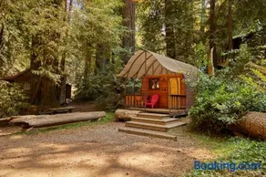 Big Sur Campground and Cabins - Image 5