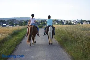 Landhof Lieg - Tierische Auszeit in unseren gemütlichen Ferienwohnungen - Image 4