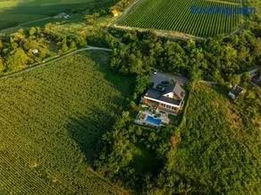 Riverside pool villa-Sremski Karlovci - Image 3