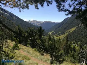 Tarter Confort Hut 5065 - Image 3