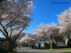Bloom House 樱花民宿 - Image 1