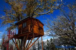 Casa sull'albero Bocchineri - Image 2