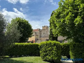 DREAM HOUSE in front of CHATEAU DE BEYNAC in Perigord , Dordogne - Image 1