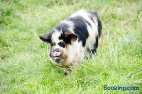 Sharlands Farm Holiday Cottages - Image 2