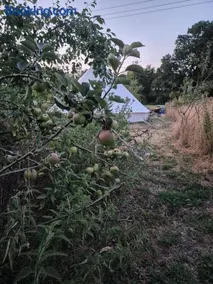 Lyng Farm Campsite - Image 5