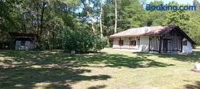 Maison landaise typique sur grand airial - Image 3