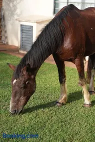 Hotel Fazenda Haras RD - Image 4