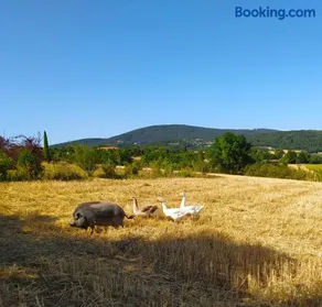 Agriturismo Il Girasole - Image 1