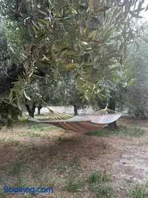 La Foresteria- Azienda agricola Garra - Image 1