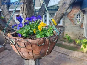 BEE-autiful Stay SC Garden Cottages - Image 1