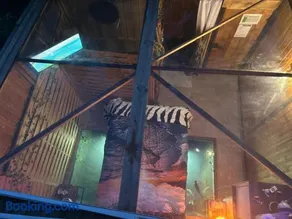 l'aquarium - Image 2