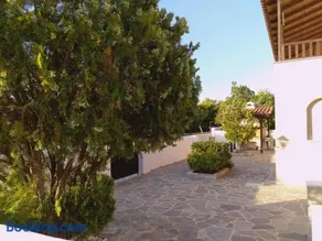 Explore Aegina Island - Image 3