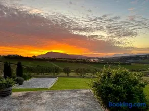 Moya's Vineyard - Image 3
