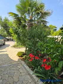 Apartments Lora - Image 4