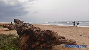 Driftwood Beach Resort - Image 2