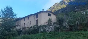 Il Quinto Gelso - Image 2