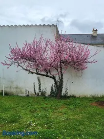 L'escale des roses - Image 2