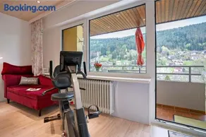 Fewo Talblick mit Schwimmbad - Image 4