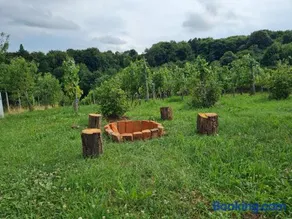 Hiša nad vinogradom - Image 3