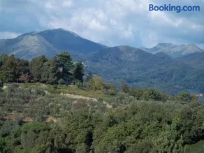 Caddelovi - Image 1